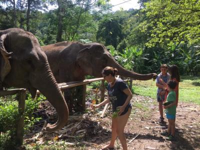 2 days/1 night Private trekking tour | Chiang Mai Trekking | Le meilleur trekking à Chiang Mai avec Piroon Nantaya